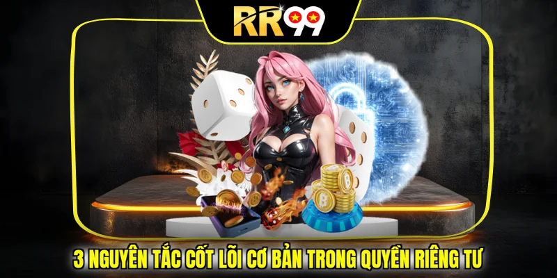 3 nguyên tắc cốt lõi cơ bản trong quyền riêng tư
